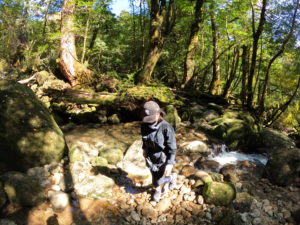 屋久島2泊3日のモデルコース｜雨でも成立するプラン（年間パス向け）