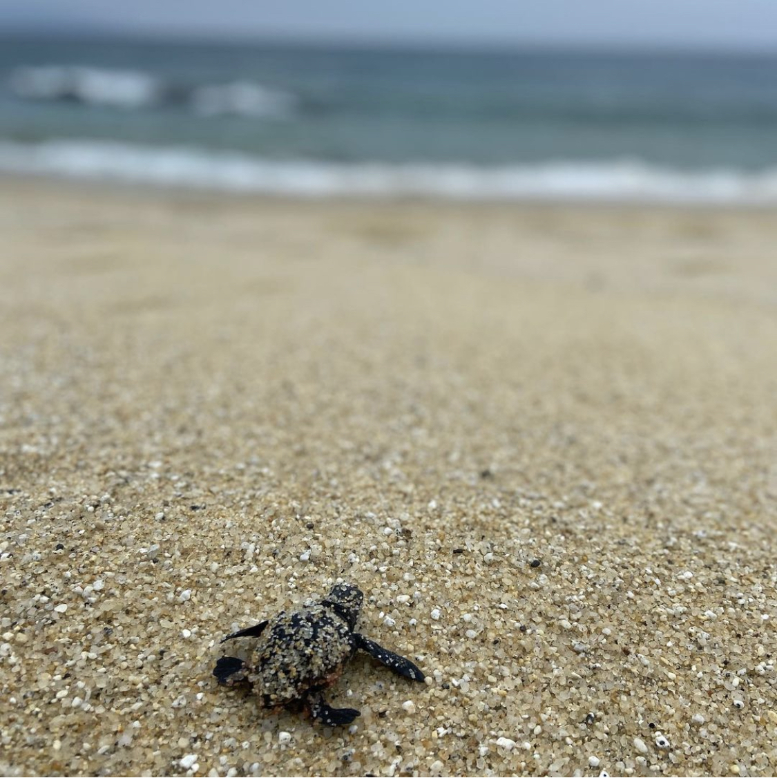永田浜と周辺の風景