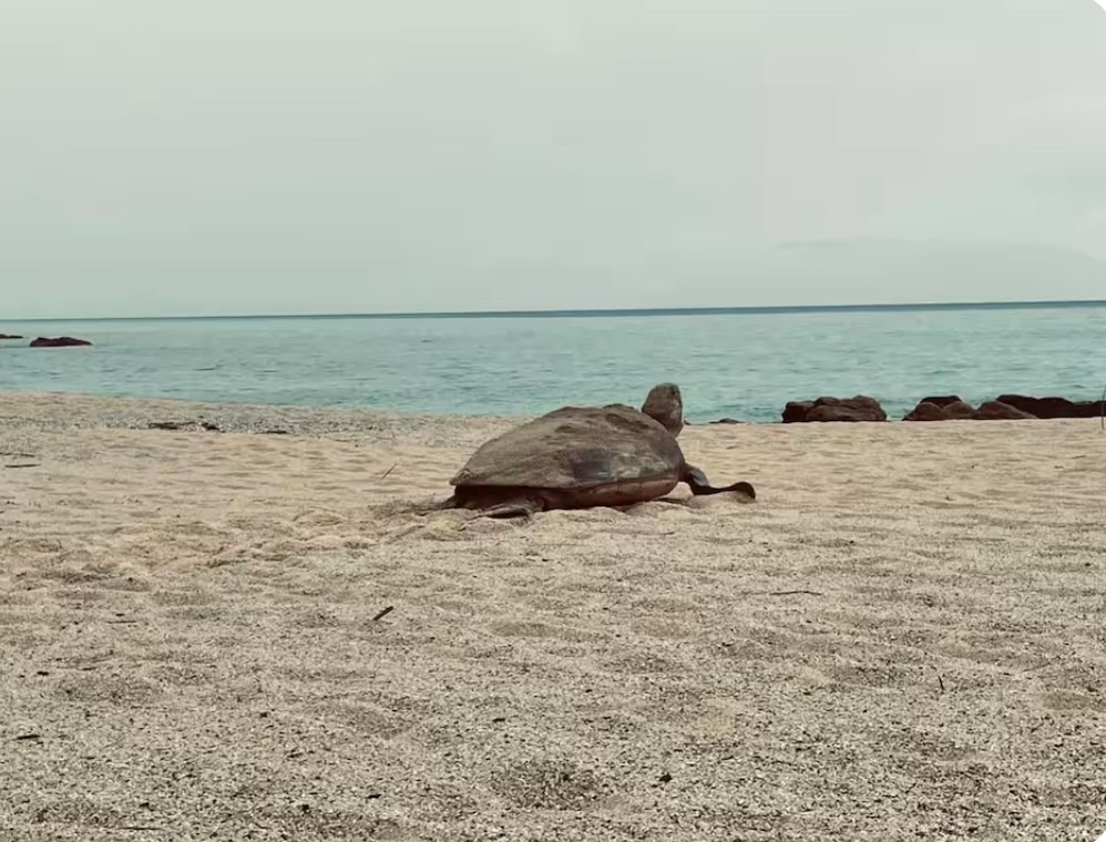 永田（海）：宿/滞在イメージ