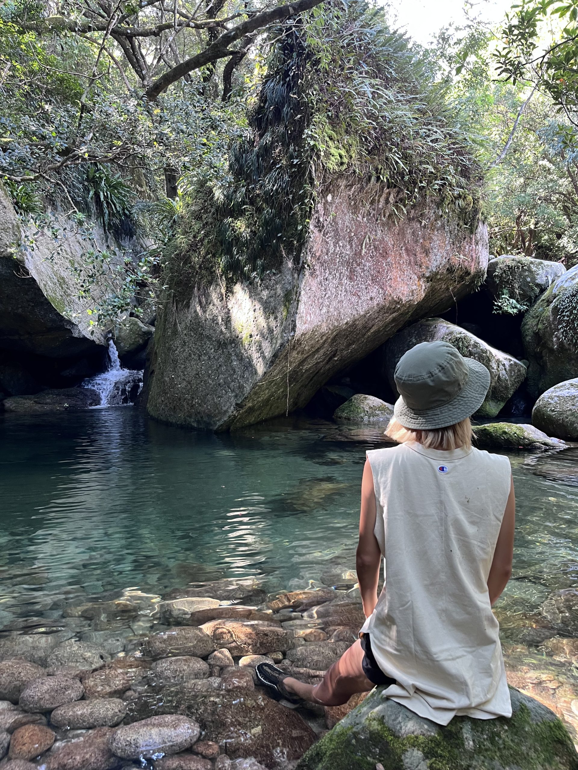 屋久島の森と海を感じる風景（年間パスのイメージ）