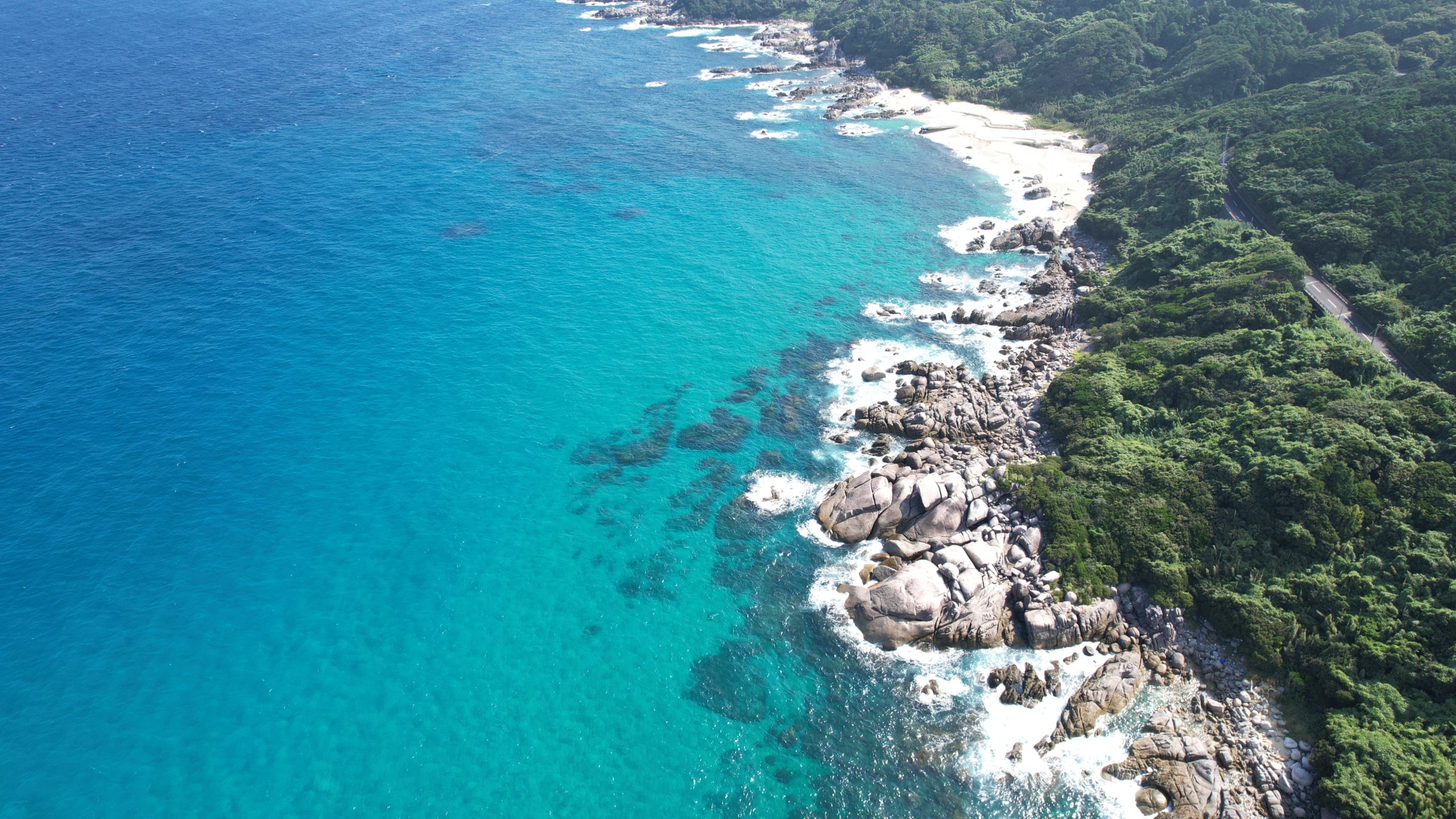 屋久島年間パスのイメージ