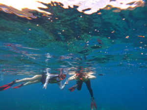 永田に泊まる2泊3日モデル｜ウミガメ観察会を軸に「前後の過ごし方」まで整う滞在プラン