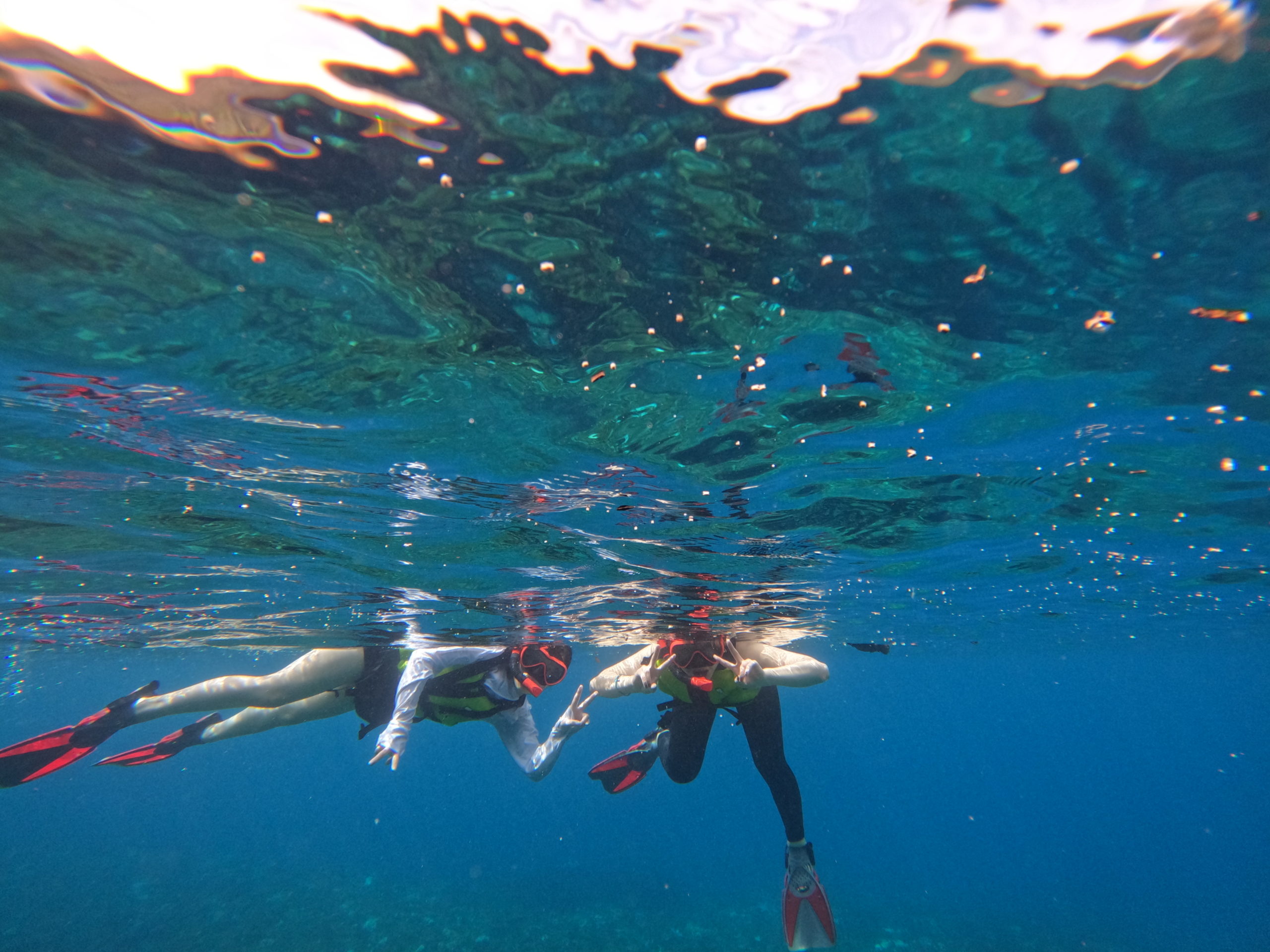 屋久島で体験を楽しむイメージ写真